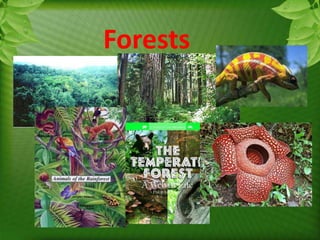 Unit 10 ecosystems biomes and biospheres | PPTX