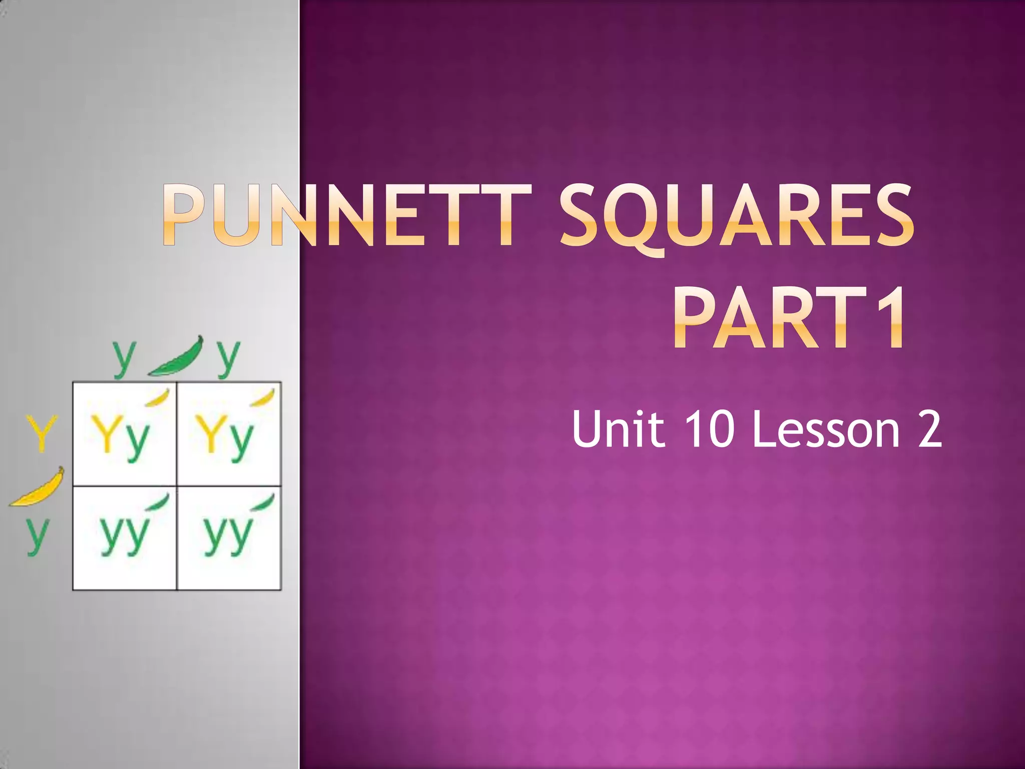 The Ultimate Guide To Joshua'S Law (Unit 10 Lesson 2) - py1gtkg