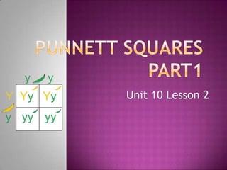 Unit 10 Lesson 2

 