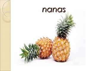 nanas

 