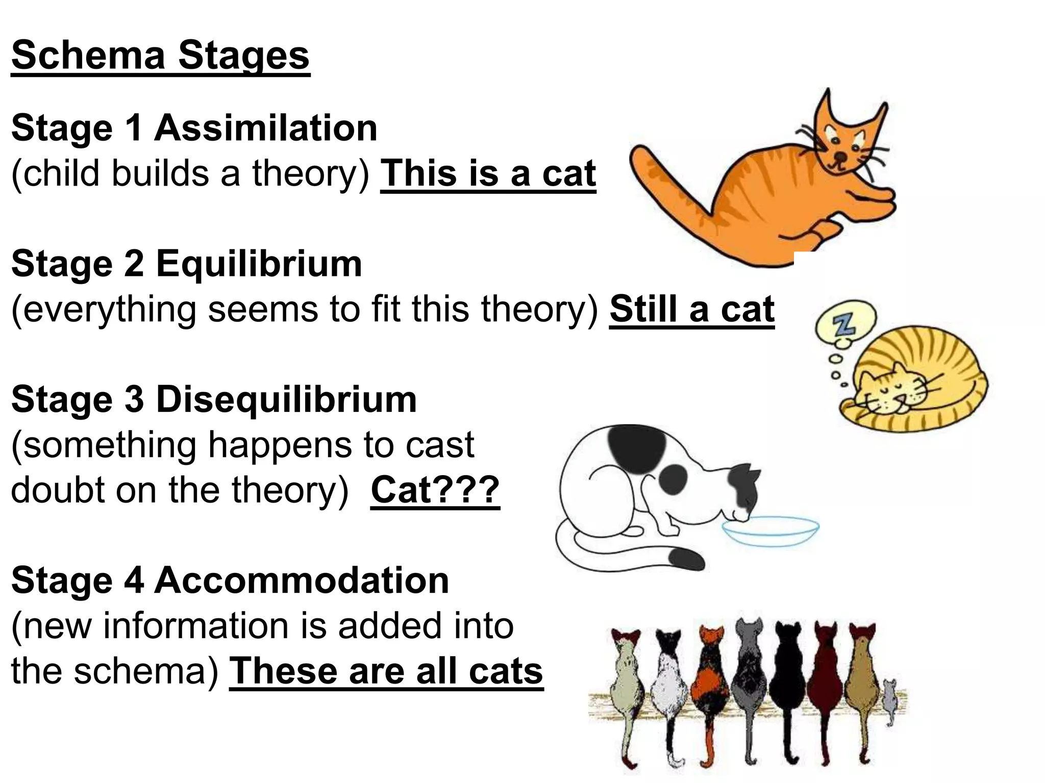 Schema Stages 
Stage 1 Assimilation 
(child builds a theory) This is a cat 
Stage 2 Equilibrium 
(everything seems to fit this theory) Still a cat 
Stage 3 Disequilibrium 
(something happens to cast 
doubt on the theory) Cat??? 
Stage 4 Accommodation 
(new information is added into 
the schema) These are all cats 
 