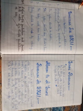 Unit 10 Notes  Class 10th Physics.pdf