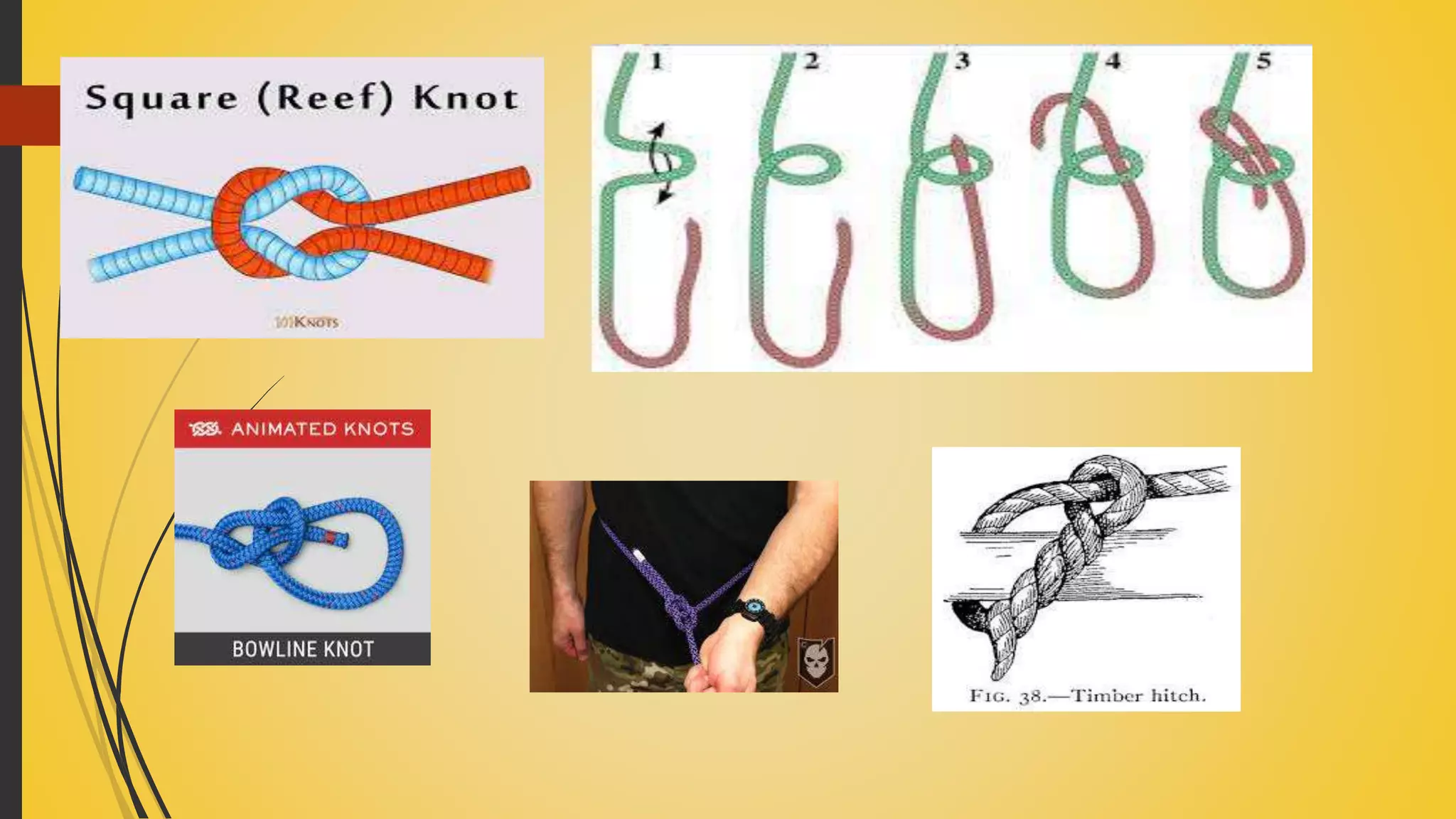 UNIT 10 ROPES AND LINES.pptx