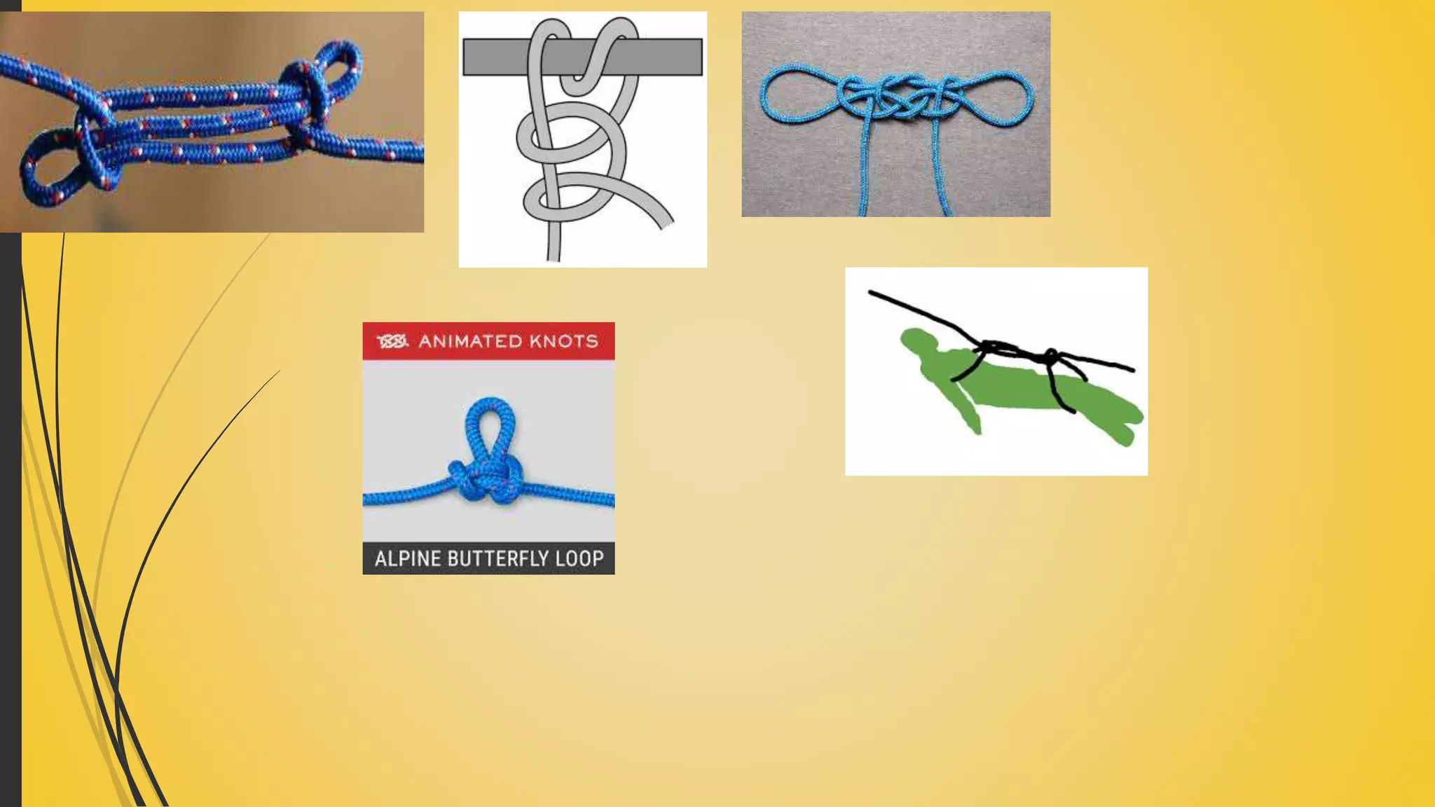 UNIT 10 ROPES AND LINES.pptx