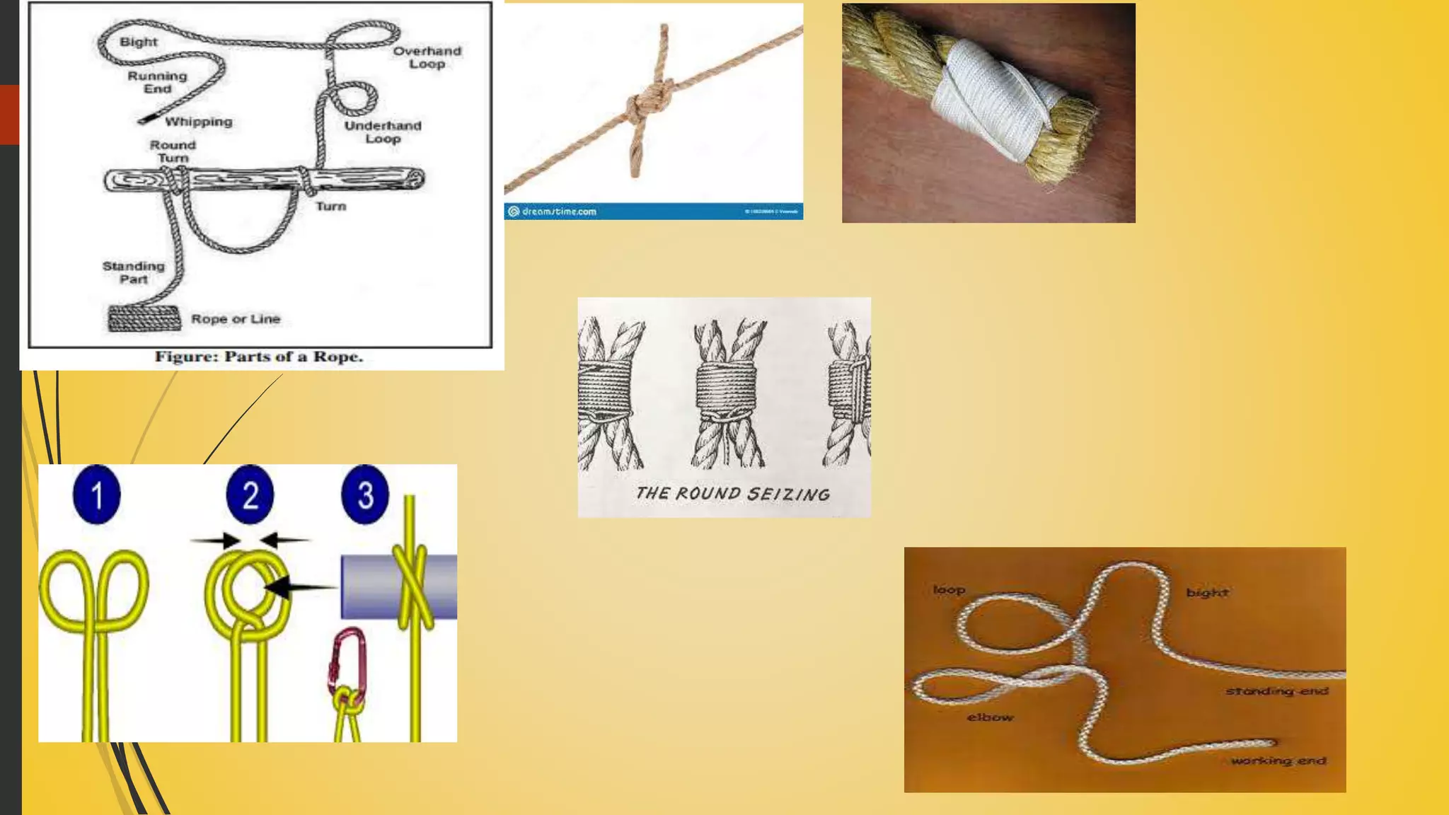 UNIT 10 ROPES AND LINES.pptx