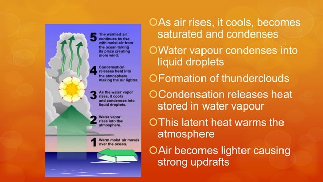 Tropical Cyclones Grade 5 Science St. Therese.pptx