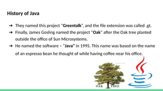 UNIT 1 Programming in java Bsc program.pptx