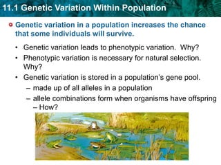 The basic principles of evolution are used in many scientific fields.  Some for good purposes and some for less ethical – give an example of each.KEY CONCEPT A population shares a common gene pool.