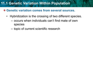 Allele frequencies measure genetic variation.measures how common an allele is in population
