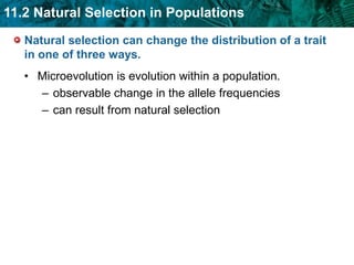 Recombination forms new combinations of alleles.