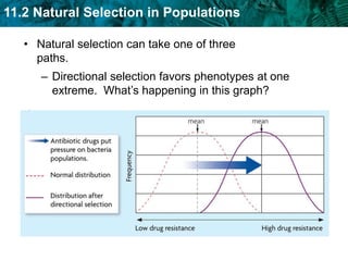  usually occurs during meiosis 