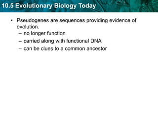 Pseudogenes are sequences providing evidence of evolution.no longer function