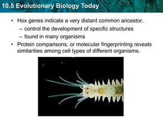 carried along with functional DNA