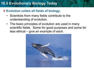 can be clues to a common ancestorHox genes indicate a very distant common ancestor.control the development of specific structures