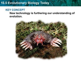 KEY CONCEPT New technology is furthering our understanding of evolution. 