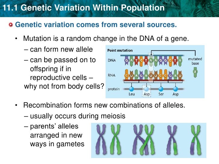 Unit 11 Evolution Of Populations