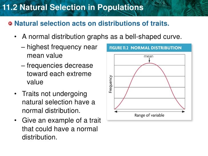 Why Is Mutation Random And Natural Selection Not Why Is Mutation Random And Natural Selection Not