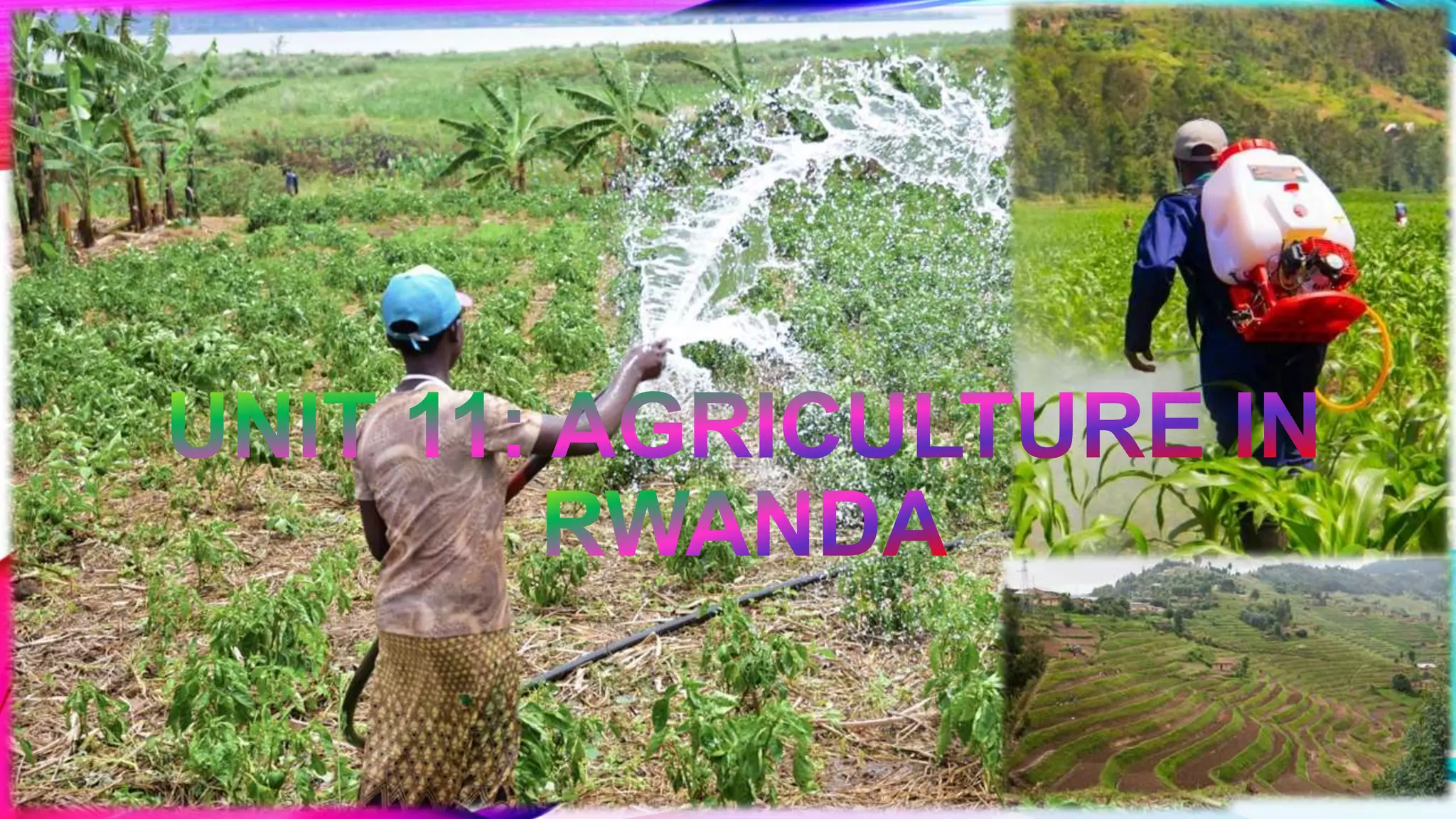 Farming In Rwanda Unit 11 Agriculture in Rwanda.pptx