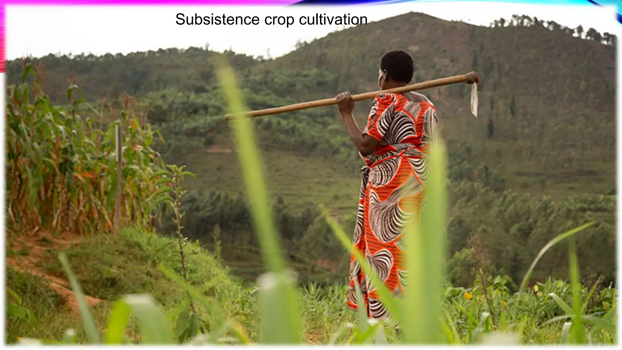 Unit 11 Agriculture in Rwanda.pptx