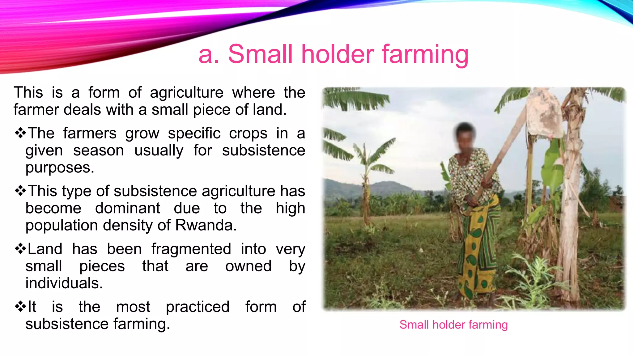 Unit 11 Agriculture in Rwanda.pptx