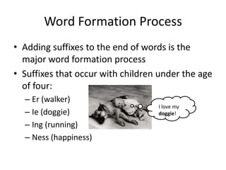 Word Formation Process
• Adding suffixes to the end of words is the
  major word formation process
• Suffixes that occur with children under the age
  of four:
  – Er (walker)
                                   I love my
  – Ie (doggie)                    doggie!

  – Ing (running)
  – Ness (happiness)
 