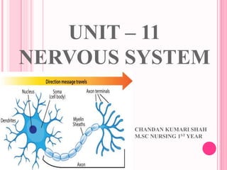 UNIT – 11
NERVOUS SYSTEM
CHANDAN KUMARI SHAH
M.SC NURSING 1ST YEAR
 