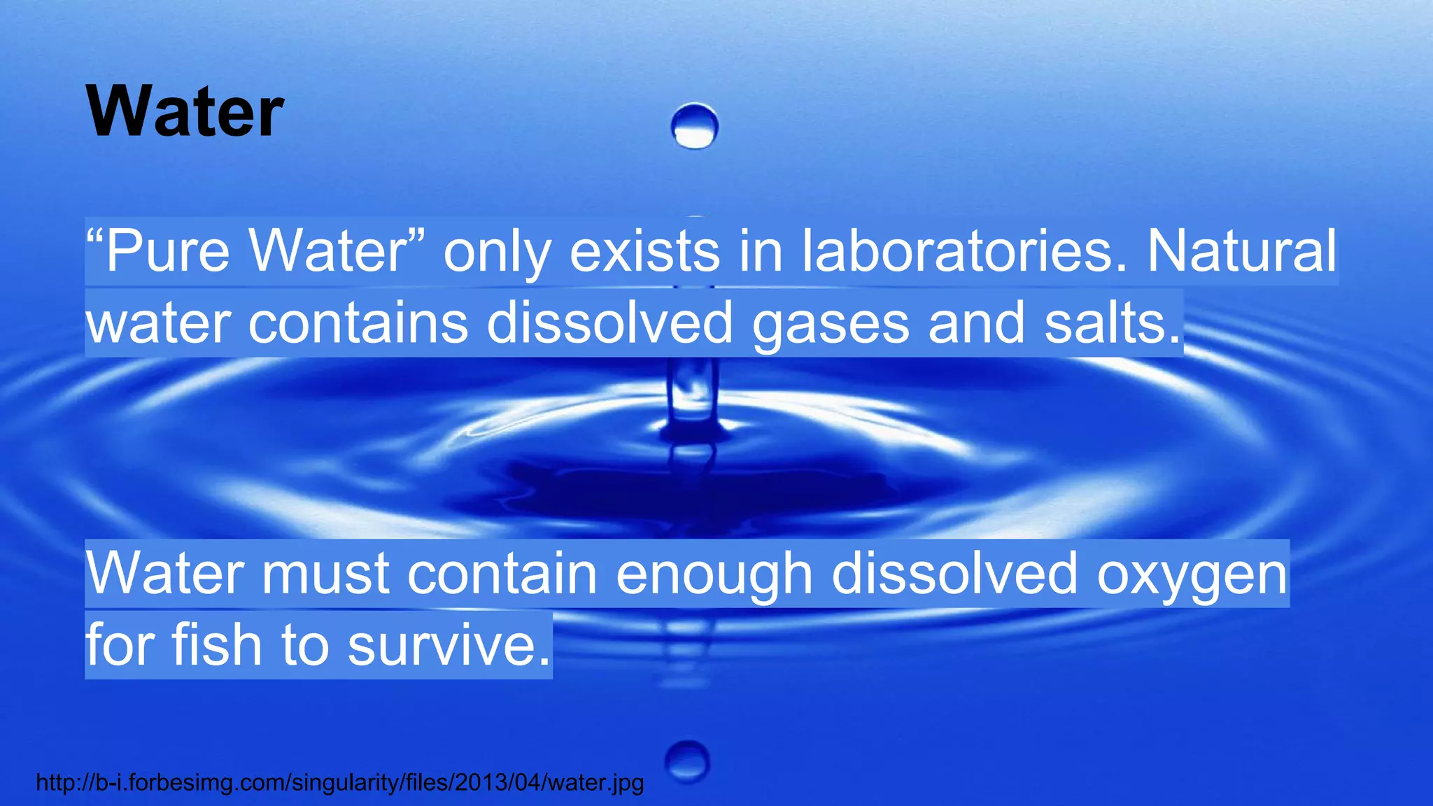 Water
“Pure Water” only exists in laboratories. Natural
water contains dissolved gases and salts.

Water must contain enough dissolved oxygen
for fish to survive.
http://b-i.forbesimg.com/singularity/files/2013/04/water.jpg

 