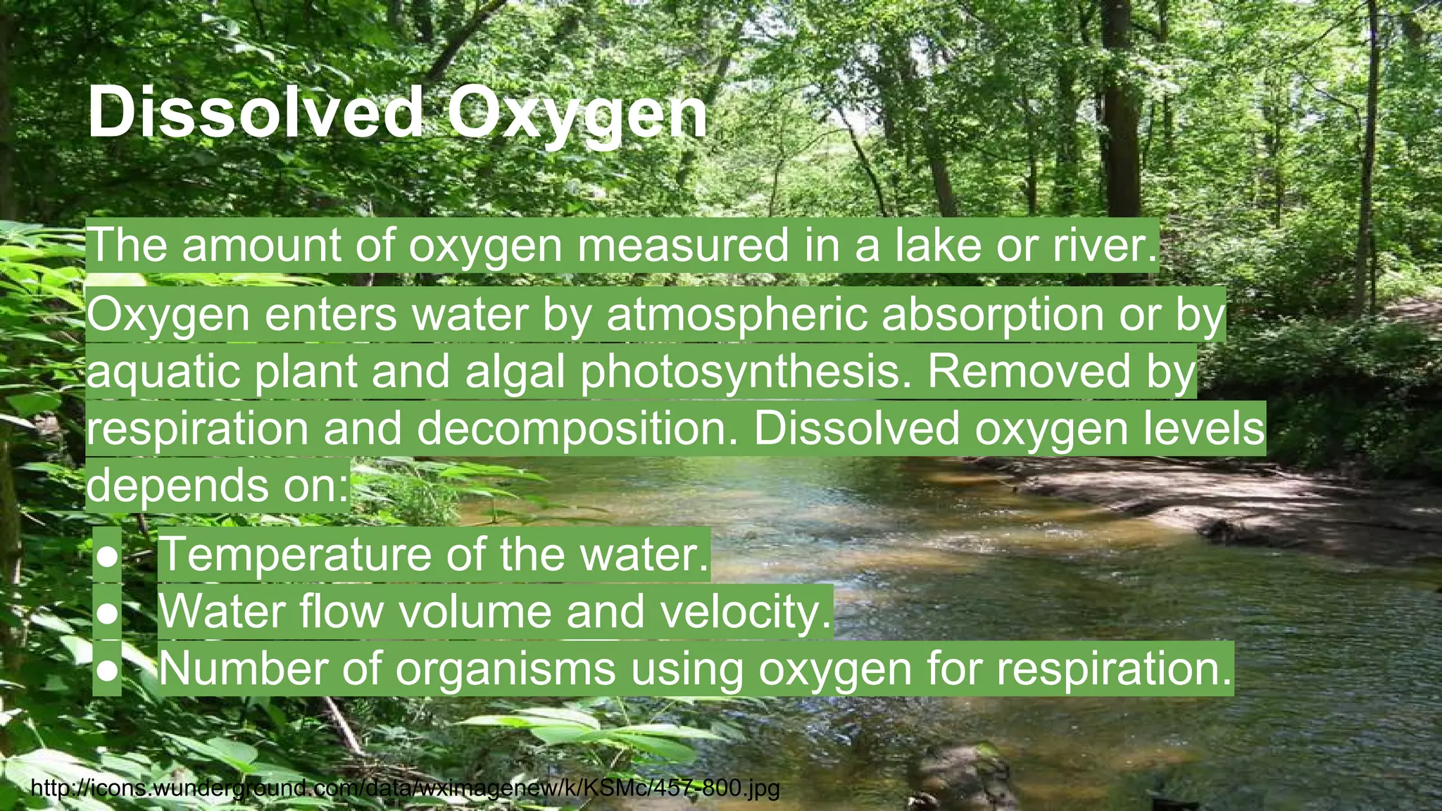Dissolved Oxygen
The amount of oxygen measured in a lake or river.
Oxygen enters water by atmospheric absorption or by
aquatic plant and algal photosynthesis. Removed by
respiration and decomposition. Dissolved oxygen levels
depends on:
● Temperature of the water.
● Water flow volume and velocity.
● Number of organisms using oxygen for respiration.
http://icons.wunderground.com/data/wximagenew/k/KSMc/457-800.jpg

 