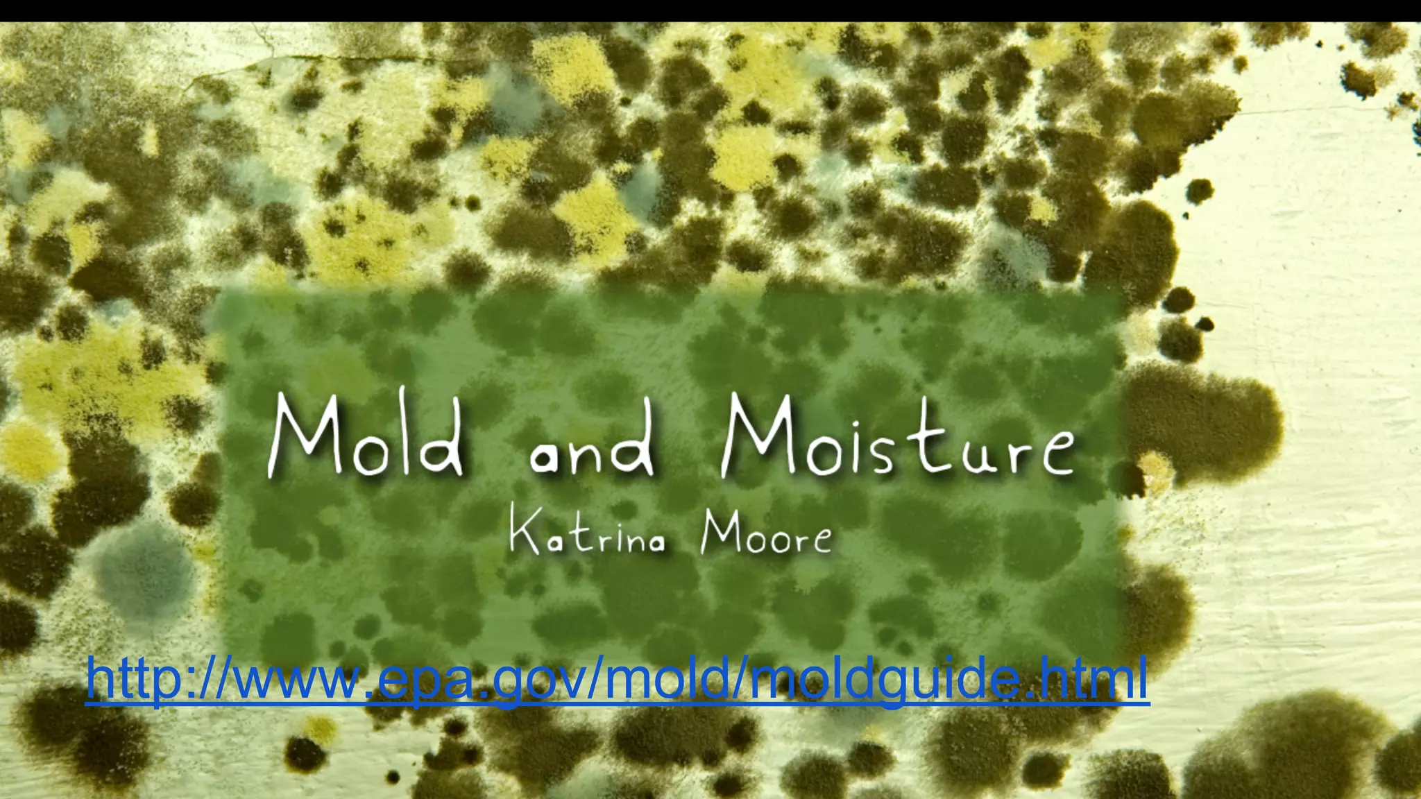 http://www.epa.gov/mold/moldguide.html

 
