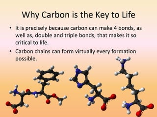 Why Carbon is the Key to LifeIt is precisely because carbon can make 4 bonds, as well as, double and triple bonds, that makes it so critical to life.Carbon chains can form virtually every formation possible.