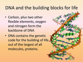 DNA and the building blocks for lifeCarbon, plus two other flexible elements, oxygen and nitrogen form the backbone of DNADNA contains the genetic code for the building of life out of the largest of all molecules, proteins.