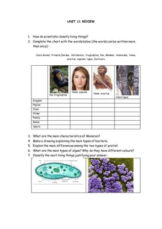UNIT 11 REVIEW 
1. How do scientists classify living things? 
2. Complete the chart with the words below (the words can be written more 
than once) : 
Canis,Animal, Primate,Canidae, Vertebrate, troglodytes, Pan, Mammal, Hominidae, Homo, 
erectus, sapiens, lupus, Carnivora 
Pan troglodytes 
Homo sapiens 
Homo erectus 
Canis lupus 
Kingdom 
Phylum 
Class 
Order 
Family 
Genus 
Specie 
3. What are the main characteristics of Moneran? 
4. Make a drawing explaining the main types of bacteria. 
5. Explain the main differences among the two types of protist. 
6. What are the main types of algae? Why do they have different colours? 
7. Classify the next living things justifying your answer. 
 