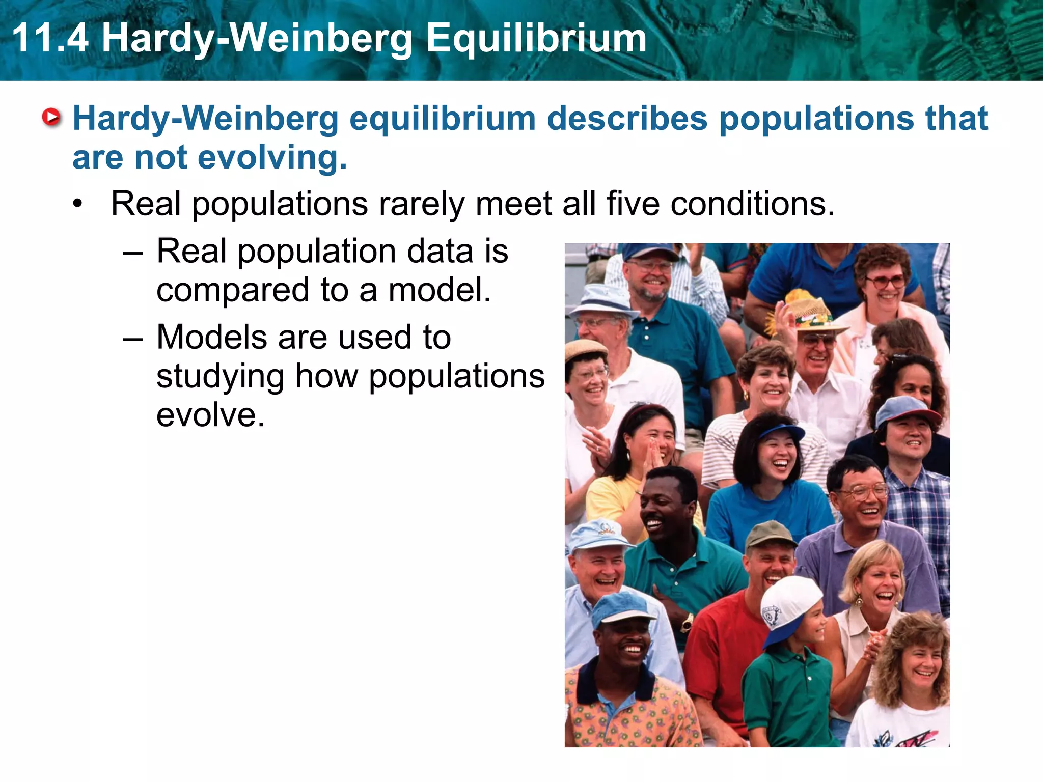 Hardy-Weinberg equilibrium describes populations that are not evolving.  Real populations rarely meet all five conditions. Real population data is compared to a model. Models are used to studying how populations evolve. 