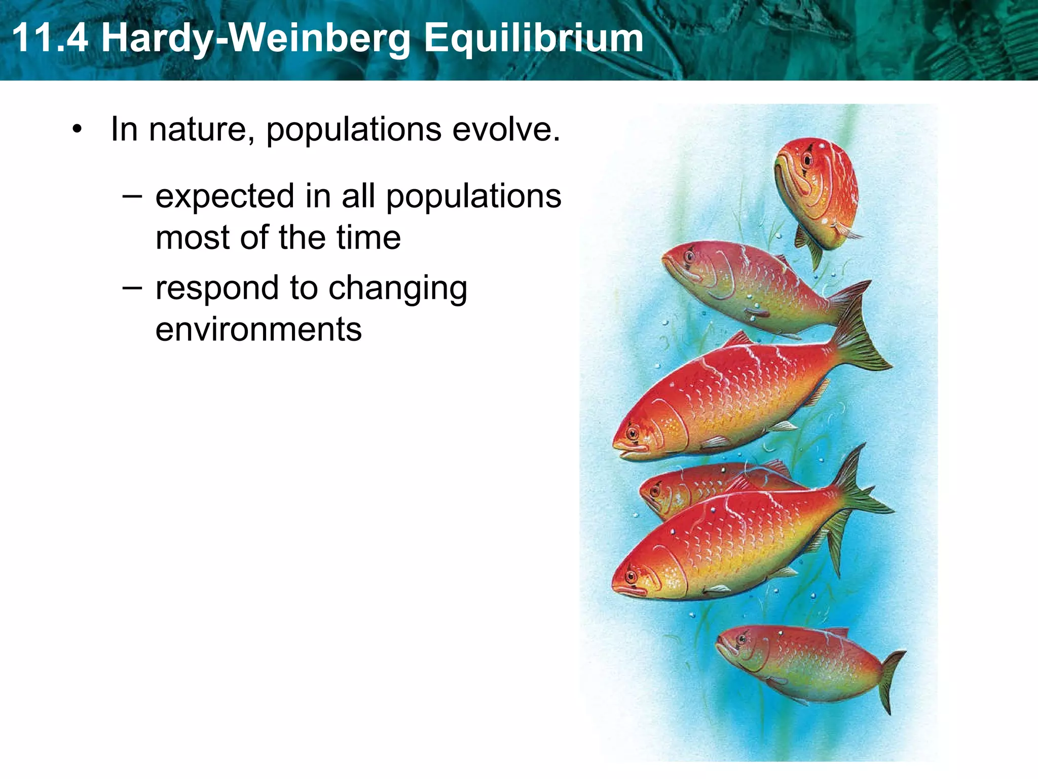 In nature, populations evolve. expected in all populations most of the time respond to changing environments 