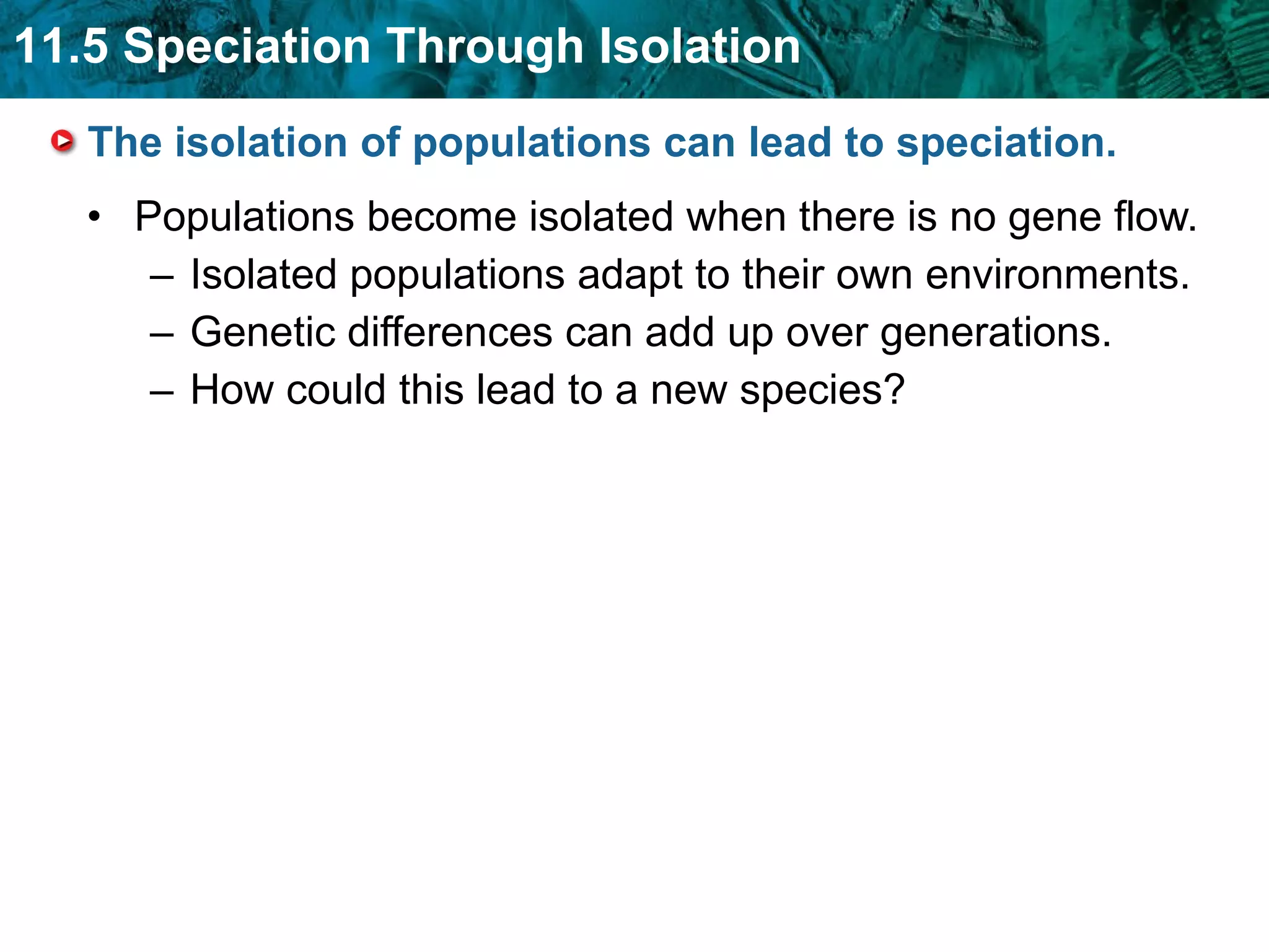 The isolation of populations can lead to speciation.  Populations become isolated when there is no gene flow.  Isolated populations adapt to their own environments. Genetic differences can add up over generations. How could this lead to a new species? 