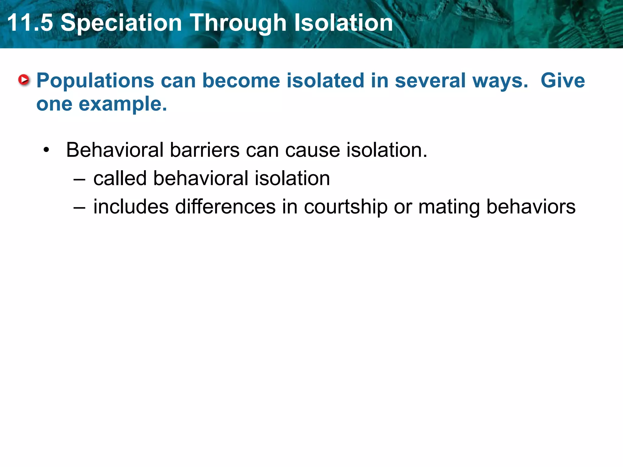 Populations can become isolated in several ways.  Give one example. Behavioral barriers can cause isolation. called behavioral isolation includes differences in courtship or mating behaviors 