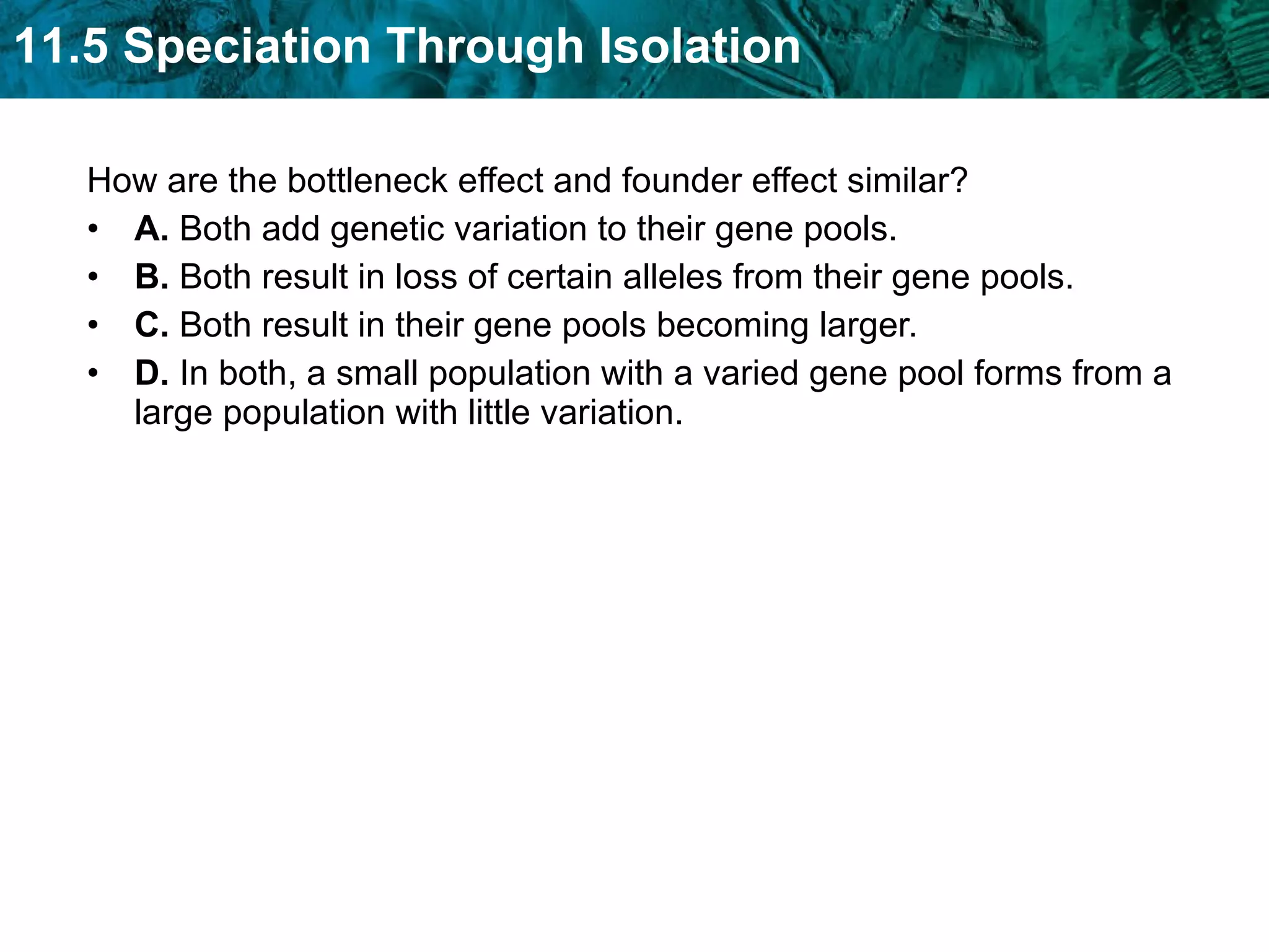 How are the bottleneck effect and founder effect similar?  A.  Both add genetic variation to their gene pools.  B.  Both result in loss of certain alleles from their gene pools.  C.  Both result in their gene pools becoming larger.  D.  In both, a small population with a varied gene pool forms from a large population with little variation. 