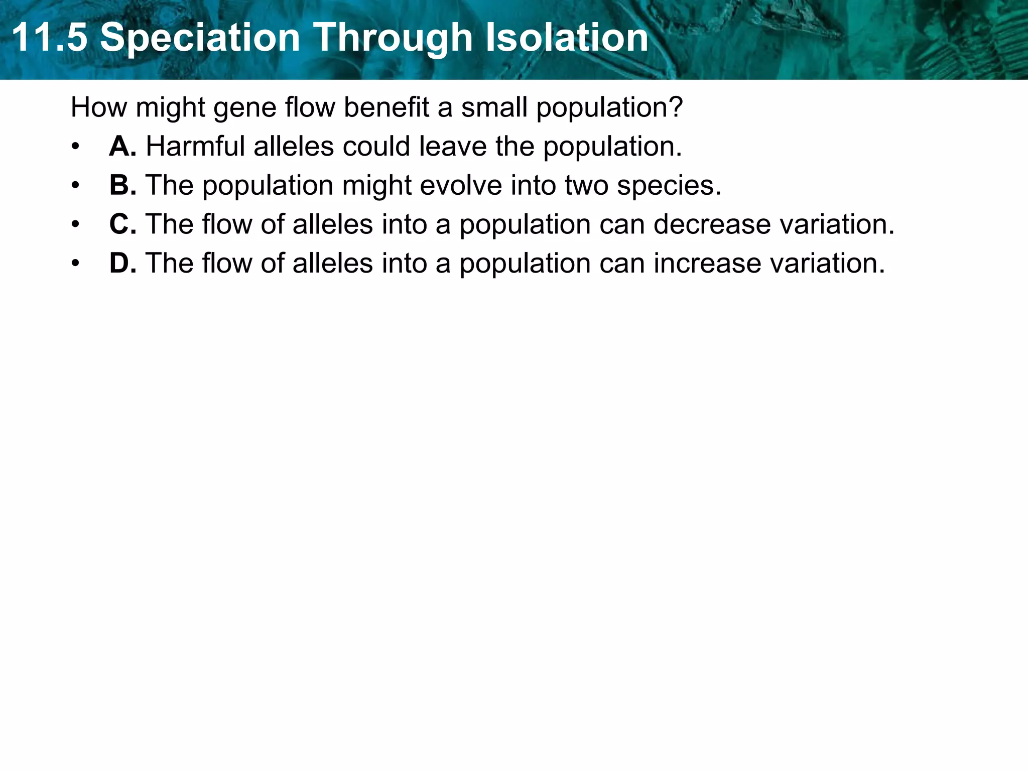 How might gene flow benefit a small population?  A.  Harmful alleles could leave the population.  B.  The population might evolve into two species.  C.  The flow of alleles into a population can decrease variation.  D.  The flow of alleles into a population can increase variation.  