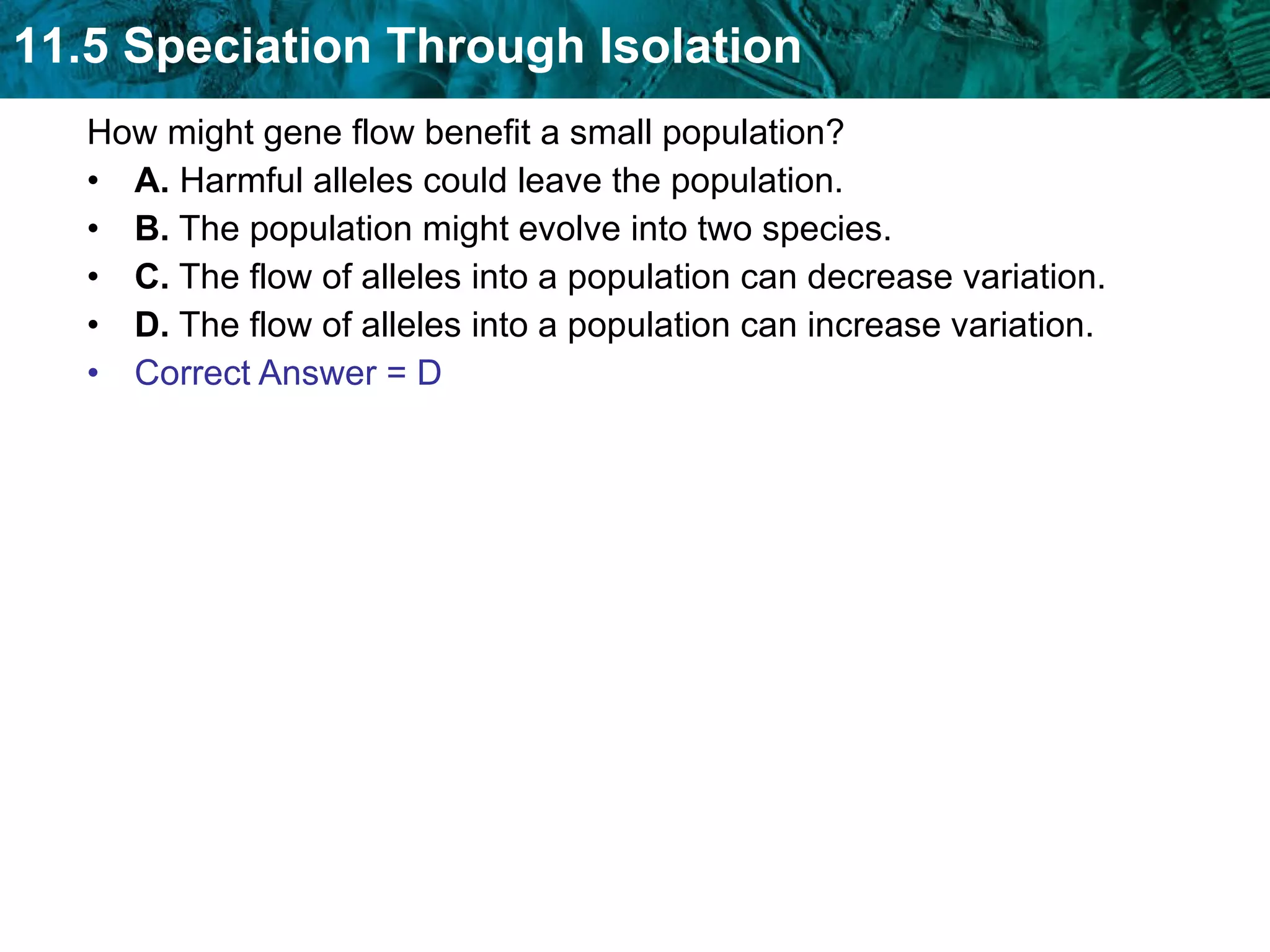 How might gene flow benefit a small population?  A.  Harmful alleles could leave the population.  B.  The population might evolve into two species.  C.  The flow of alleles into a population can decrease variation.  D.  The flow of alleles into a population can increase variation.  Correct Answer = D 