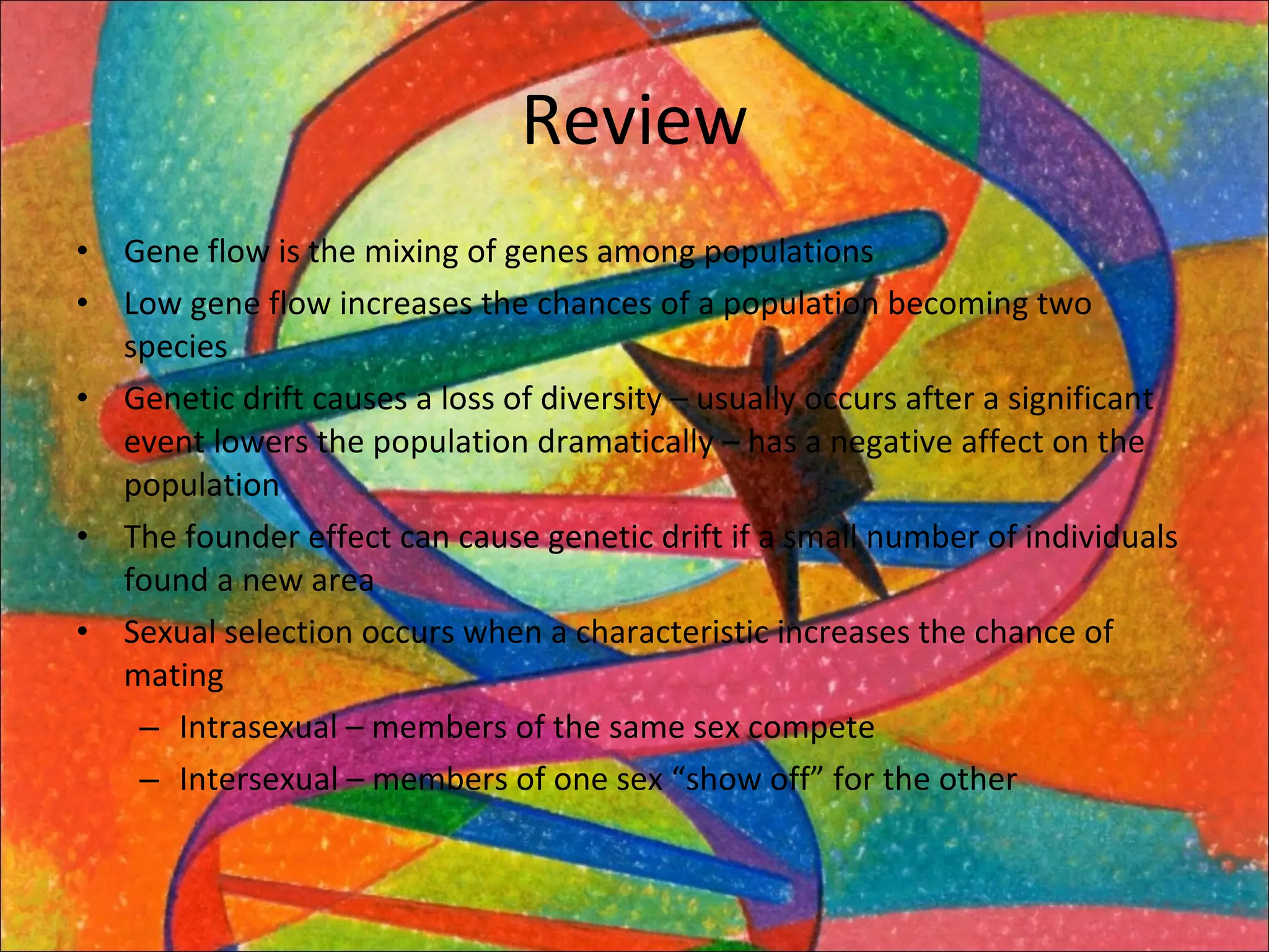 Review Gene flow is the mixing of genes among populations Low gene flow increases the chances of a population becoming two species Genetic drift causes a loss of diversity – usually occurs after a significant event lowers the population dramatically – has a negative affect on the population The founder effect can cause genetic drift if a small number of individuals found a new area Sexual selection occurs when a characteristic increases the chance of mating Intrasexual – members of the same sex compete Intersexual – members of one sex “show off” for the other 