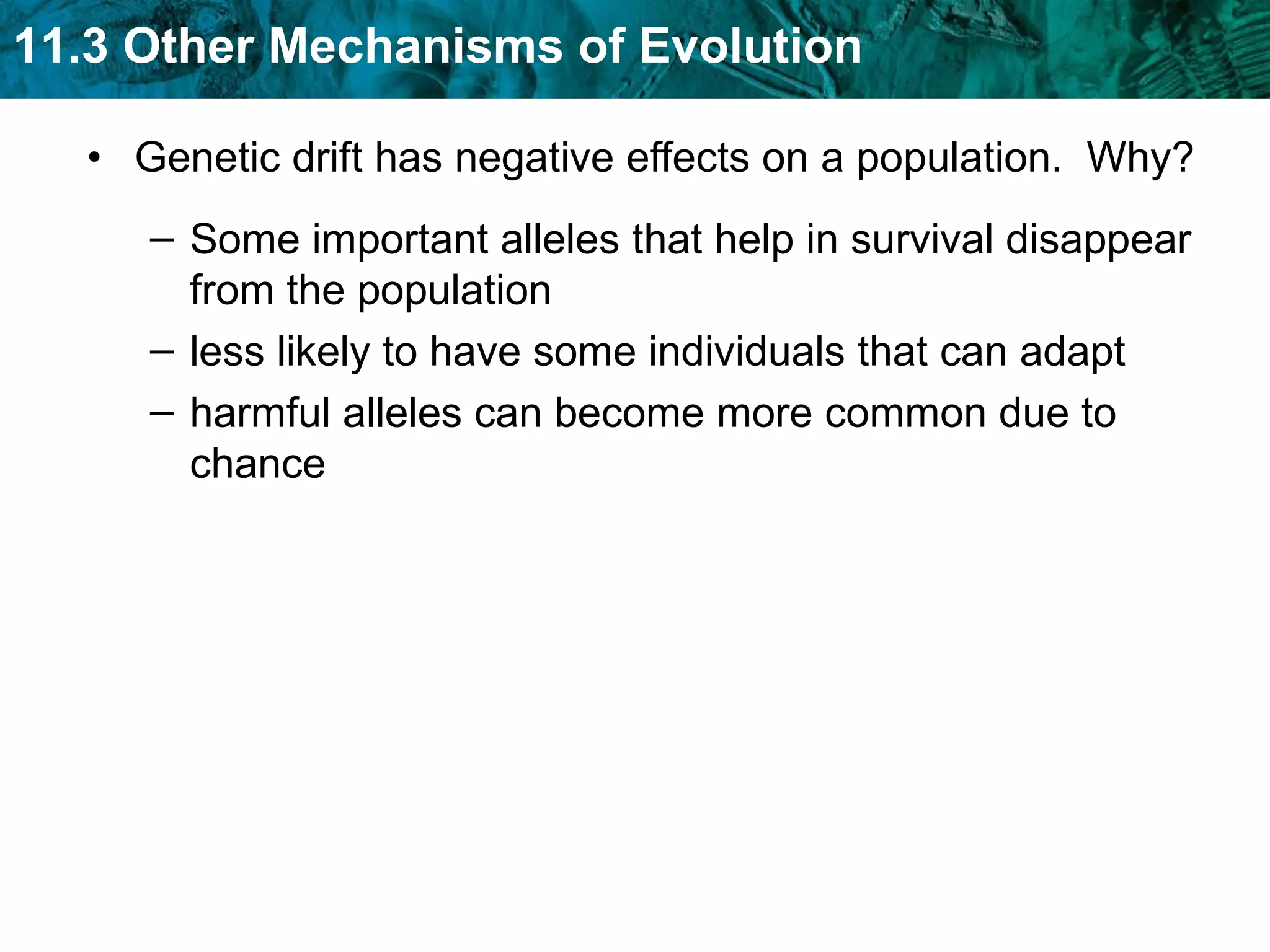 Genetic drift has negative effects on a population.  Why? Some important alleles that help in survival disappear from the population less likely to have some individuals that can adapt  harmful alleles can become more common due to chance 
