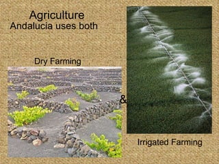 Agriculture Andalucia uses both Dry Farming Irrigated Farming & 
