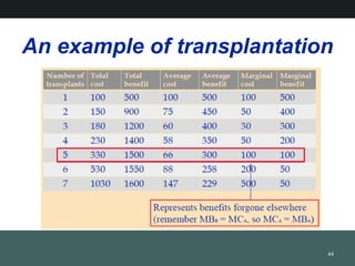 An example of transplantation
44
 