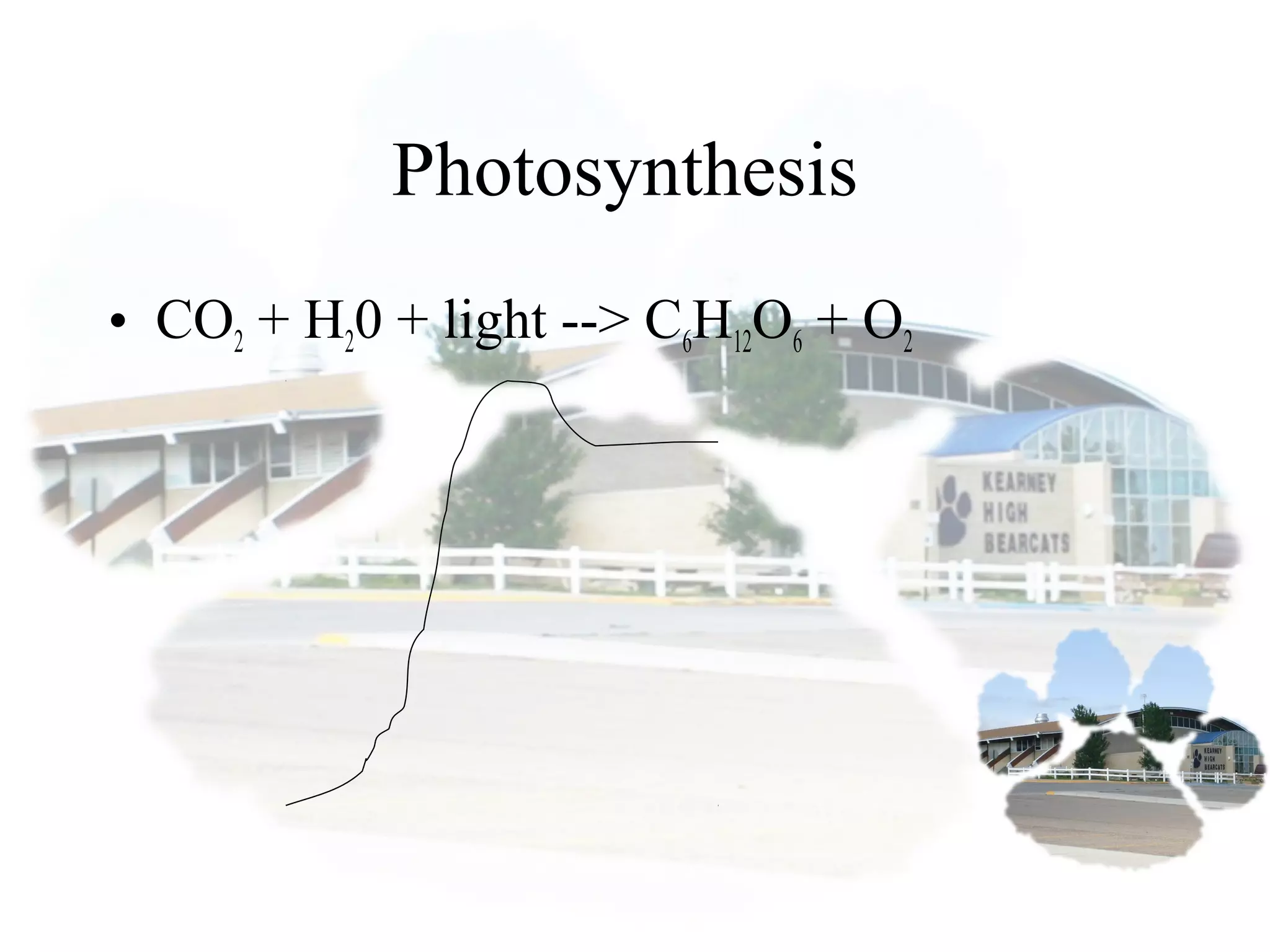 Photosynthesis
• CO2 + H20 + light --> C6H12O6 + O2
 