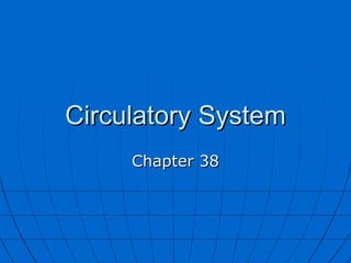 Circulatory System Chapter 38 