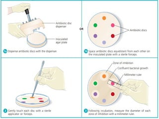 Antimicrobial susceptibility testing by Disc diffusion methods,Tube ...