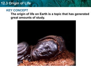 KEY CONCEPT The origin of life on Earth is a topic that has generated great amounts of study. 