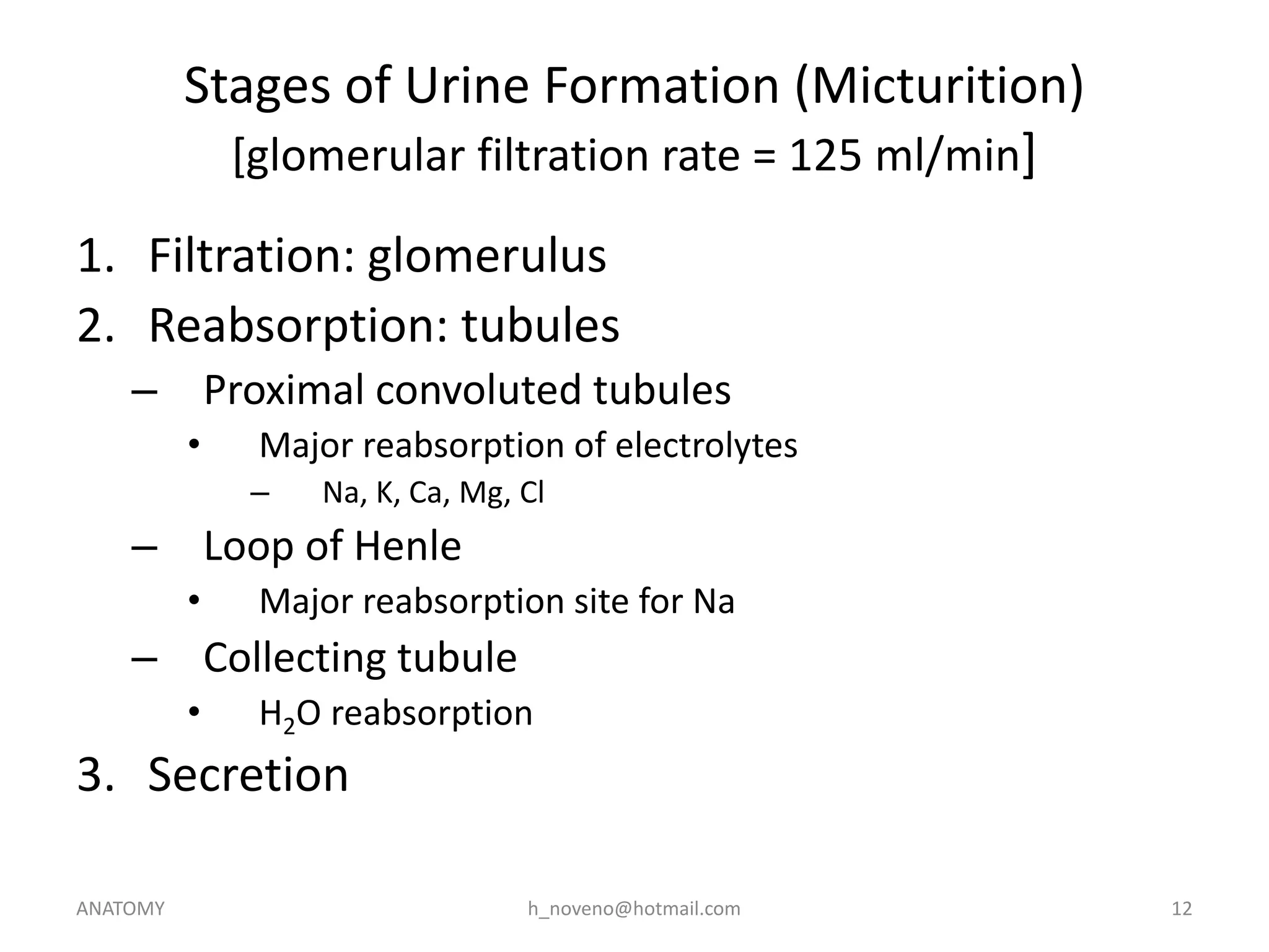 Stages of Urine Formation (Micturition)
[glomerular filtration rate = 125 ml/min]
1. Filtration: glomerulus
2. Reabsorption: tubules
– Proximal convoluted tubules
•

Major reabsorption of electrolytes
–

Na, K, Ca, Mg, Cl

– Loop of Henle
•

Major reabsorption site for Na

– Collecting tubule
•

H2O reabsorption

3. Secretion
ANATOMY

h_noveno@hotmail.com

12

 