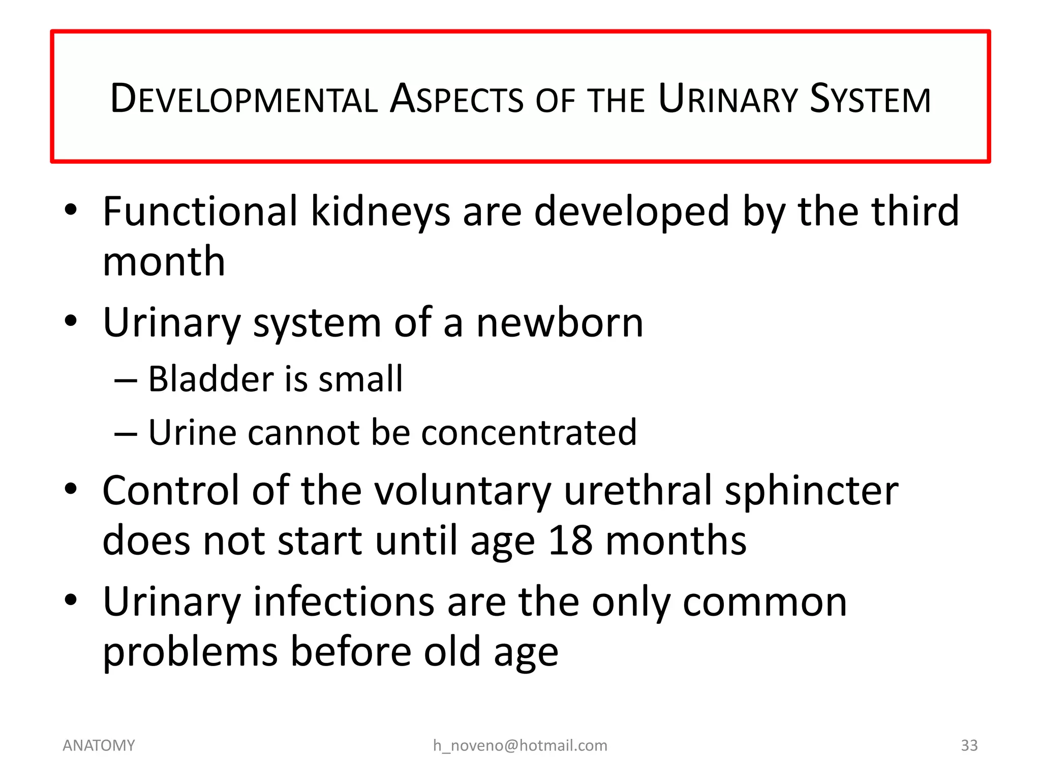 DEVELOPMENTAL ASPECTS OF THE URINARY SYSTEM

• Functional kidneys are developed by the third
month
• Urinary system of a newborn
– Bladder is small
– Urine cannot be concentrated

• Control of the voluntary urethral sphincter
does not start until age 18 months
• Urinary infections are the only common
problems before old age
ANATOMY

h_noveno@hotmail.com

33

 