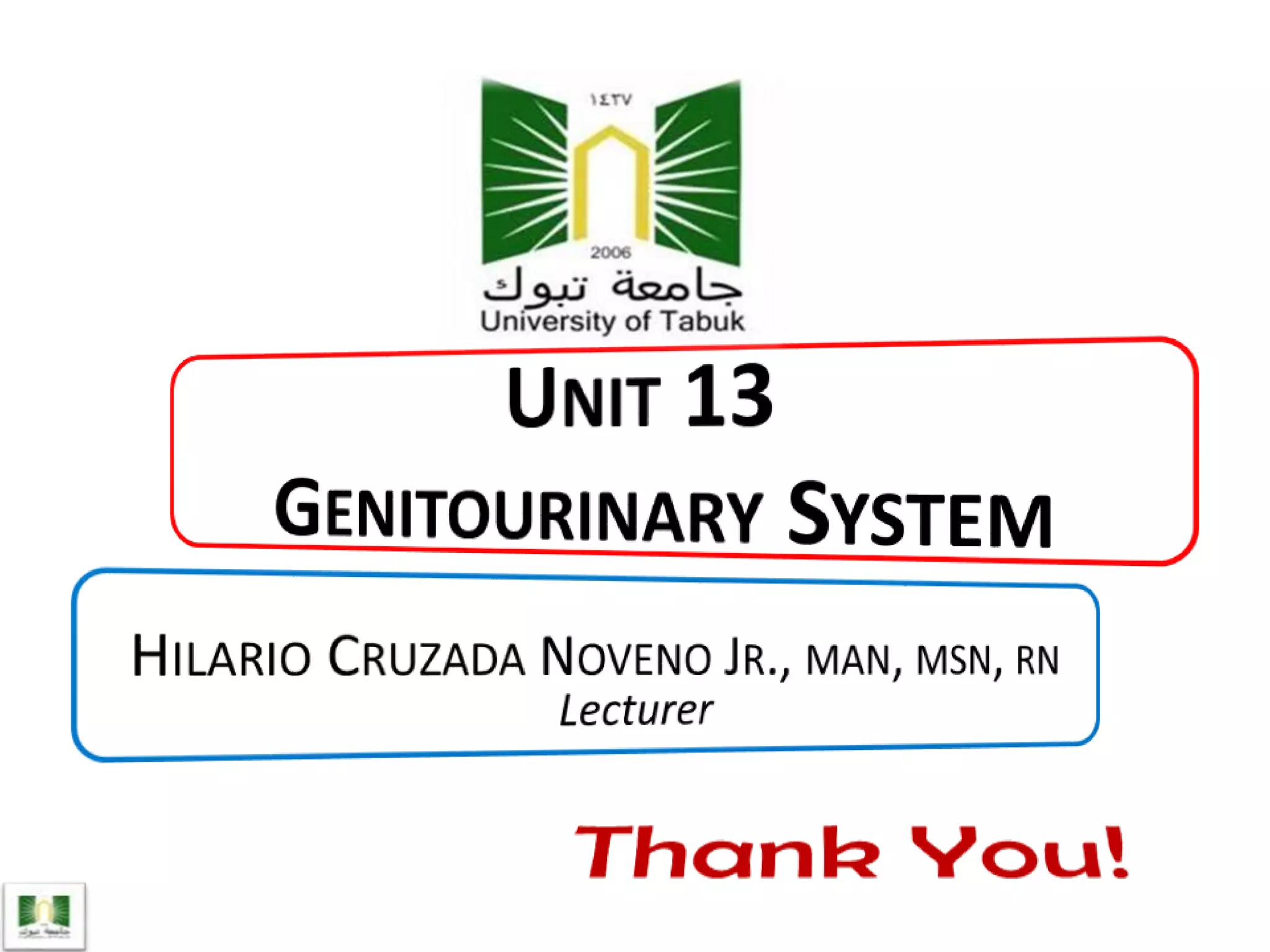 Unit 13 Genitourinary System